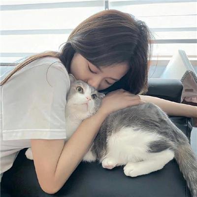 离恨歌 在线观看封面