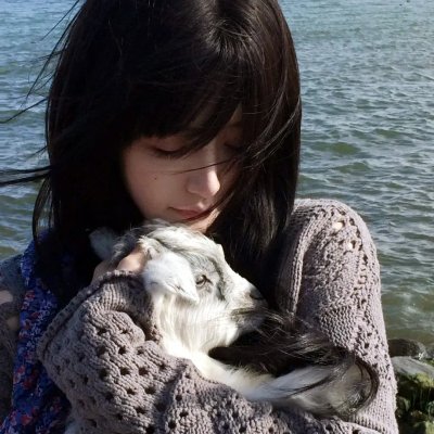 史楚锡流浪记 在线观看封面